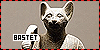 Bastet fanlisting